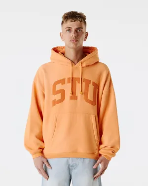 STU Applique Hoodie